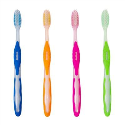 Berus Gigi Berwarna-warni Dengan Kepala Tirus